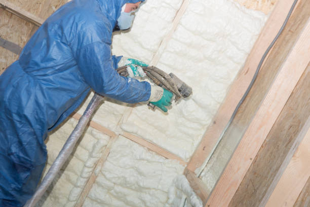 Professional Insulation in Severn, MD